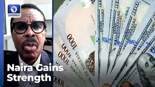 Rewane Reviews FX Market As Naira Hits Six-Week High