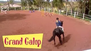 Grand Galop 213 - Mauvais jour pour Stéphanie | HD | Épisode Complet