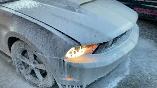 Ford Mustang GT 10' 4.6 V8 manual sound ride , bezczelny, chamski i arogancki koń 😎 USA