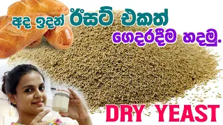 How to make yeast at home | Homemade Yeast | අද ඉදන් ඊසට් එකත් ගෙදරදීම හදමු