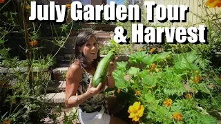 July Garden Tour & Harvest 🍅🥒🌶🍆