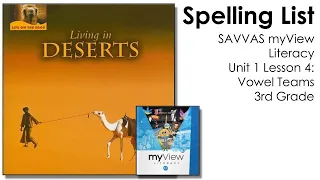 SAVVAS MyView Literacy Spelling Unit 1 Lesson 4 - 3rd Grade