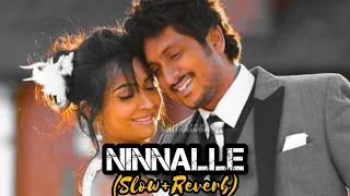 Ninnalle (Slow+Reverb) || Endendigu Movie || #bahaddurali