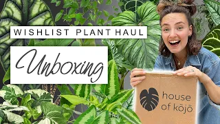 Oops! I Did It Again 😬 House Plant HAUL | House Of Kojo Plant Unboxing