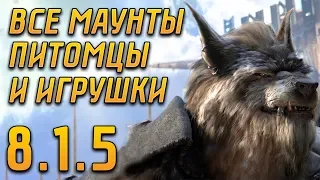 ВСЕ МАУНТЫ, ПИТОМЦЫ И ИГРУШКИ В 8.1.5 | WOW BATTLE FOR AZEROTH