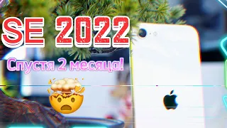 iPhone SE 2022, СПУСТЯ 2 МЕСЯЦА ТЕСТОВ