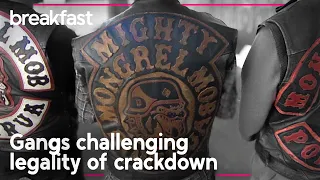 Mongrel Mob members' lawyer challenges proposed anti-gang laws | TVNZ Breakfast