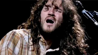 RHCP - Scar tissue live solo 2 - John Frusciante