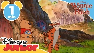 Pooh's Most Grand Adventure: The Search For C.Robin | World Record Bounce | Disney Junior UK