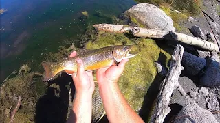 Fly Fishing High Alpine Lake for Brook Trout