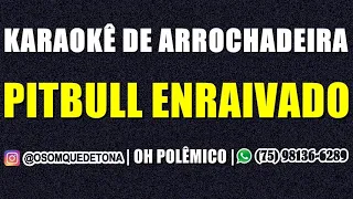 KARAOKÊ DE ARROCHADEIRA - PITBULL ENRAIVADO (OH POLÊMICO)