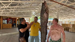 We caught a huge catfish 103 kg and cooked delicious dishes from it