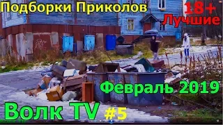 Лучшие Приколы За Неделю,Приколы Февраль 2019,Лучшая подборка приколов. Best coub.