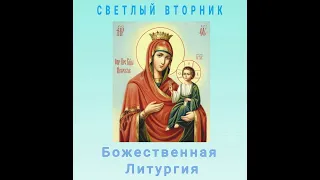 Светлый Вторник. Божественная Литургия. Крестовоздвиженский храм, г. Винница. 04.05.2021