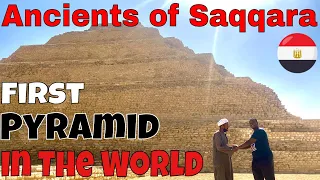 This is SAQQARA, EGYPT - Exploring The FIRST Pyramid in The WORLD + FIRST Impressions