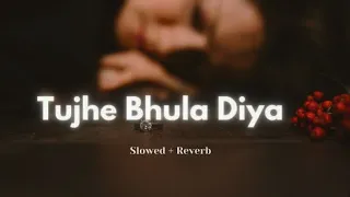 Tujhe Bhul Diya Slowed + Reverb Sad Lyrics Song