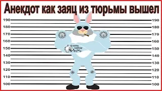 СМеШНОЙ анекдот ЗАЯЦ из тюрьмы откинулся.смех до слез. юмор