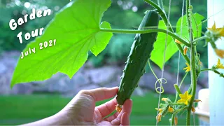 ASIAN HERB GARDEN TOUR