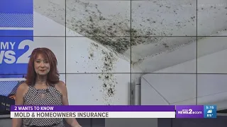 Homeowners insurance does not cover mold treatment and removal