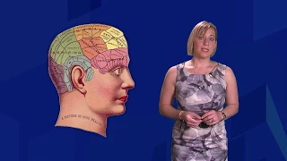 How the brain processes language - Professor Ina Bornkessel-Schlesewsky