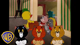 Tom y Jerry en Español 🇪🇸 | ¡Los animalitos más monos! 🐣🐱🐶 | @WBKidsEspana​