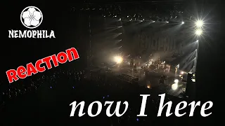 Nemophila - Now I Here (Reaction) | Official Live Video |