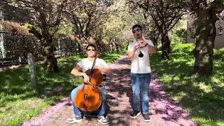 La vie en Rose (Cover) | ClariCello