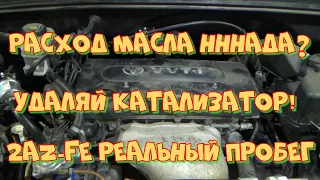 После удаления катализатора двигатель будет жрать масло 100% если...Тойота Хариер 2AZ-FE 250 т.км