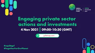 Engaging private sector actions and investments