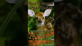 Добрый вечер! Красивое пожелание