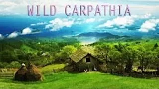 BBC Natural Wiflife  Discovering Romania - Wild Carpathia  National Geographic Documentary 2017