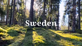 Sunny Sweden • Chilling music and nature