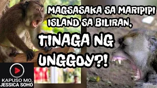 KAPUSO MO,JESSICA SOHO: MAGSASAKA TINAGA NG UNGGOY | EPISODE | JULY 26, 2020