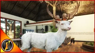 Hunting the Albino Fallow (Hirschfelden Missions) + Diamond Roe!