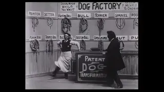 Dog Factory, a short film by Thomas Edison (1904)