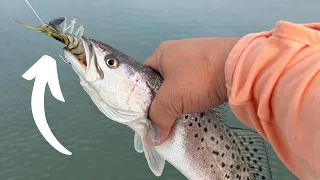 How To Catch Fall & Winter Time Speckled Trout Using Vudu Shrimp!