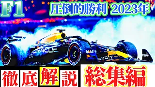 【F1】2023のすべてがここに！F1総集編