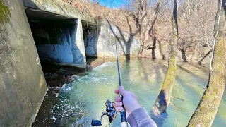 Tiny Creek Wild TROUT Fishing