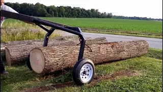 Homemade Log Arch