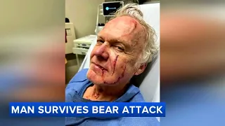 Man survives bear attack after mama bear protects her cub