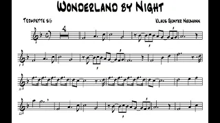 Wonderland by Night - Playback Sib