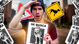 Buscamos al PERRITO perdido del CARTEL