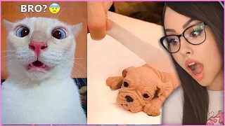 Pets Are Weird  Here Is a Proof - Bunny REACTS !!!