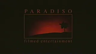 NL Film Fonds / Paradiso Entertainment / Millstreet Films (Amsterdam Vice)