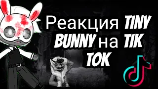 Реакция tiny bunny  на тик ток!/Антон/Бяша/Полина/рома🌓