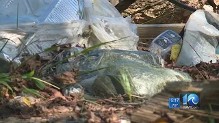 Portsmouth Sheriff's Office looking for help to clean up areas in the city