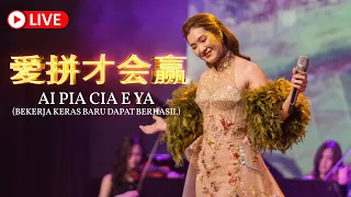 Ai Pia Cia E Ya 《爱拼才会赢》Desy Huang - HJM 黄家美