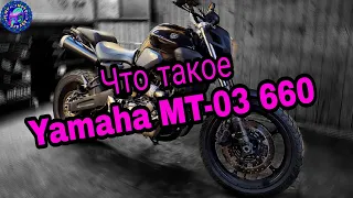 Что такое YAMAHA MT 03 660?! Ducati Scrambler ТЫЛИ ЭТО!?