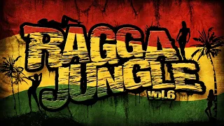 RAGGA JUNGLE vol. 6 - Drum n Bass Mix