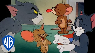 Tom y Jerry en Español 🇪🇸 | Buenos amigos, mejores enemigos | @WBKidsEspana